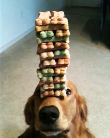 Focus on Creative Content to Build a Highly Visible Web Presence