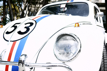 herby-medium_6843638952