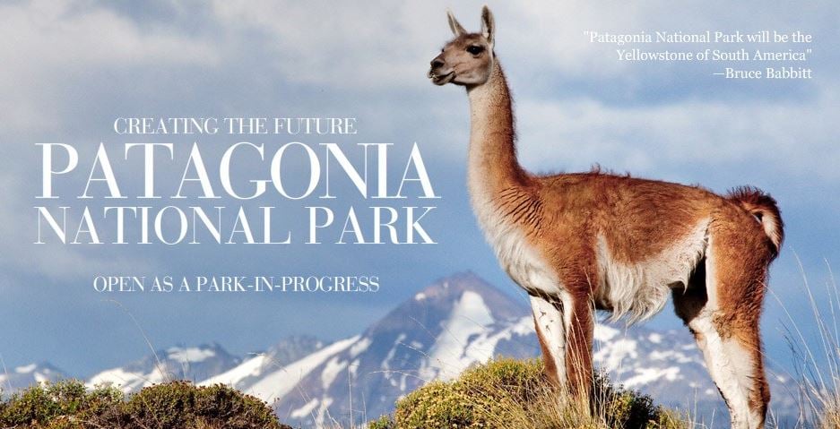 Patagonia's marketing as a key to owning and honing your brand identity