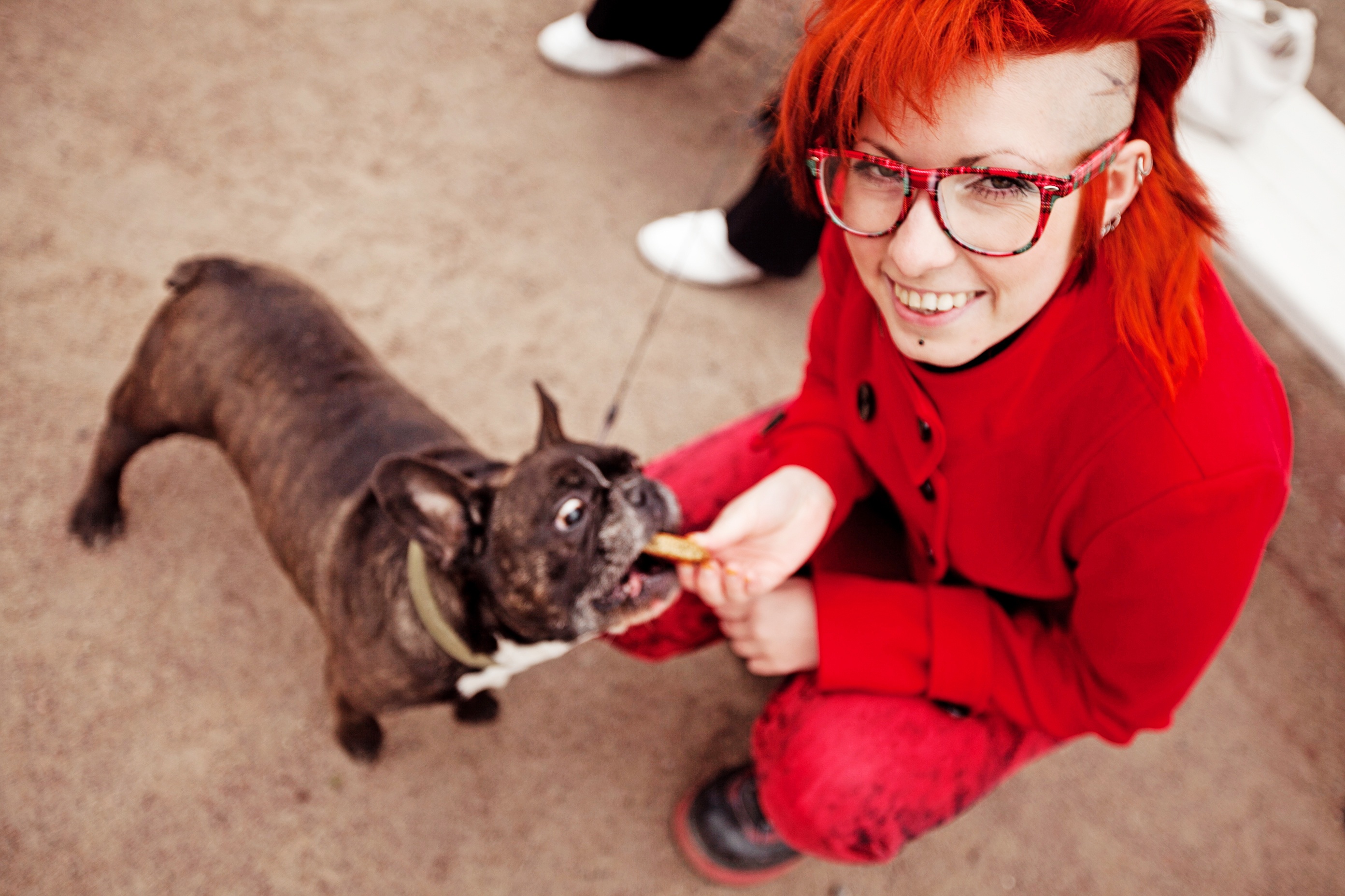 Be real, like this lady feeding fries to a frenchie.