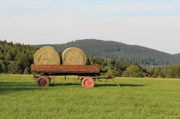 How to Jump on the Real-Time Marketing Bandwagon