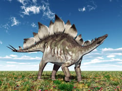 Dinosaur_Stegasaurus.jpg
