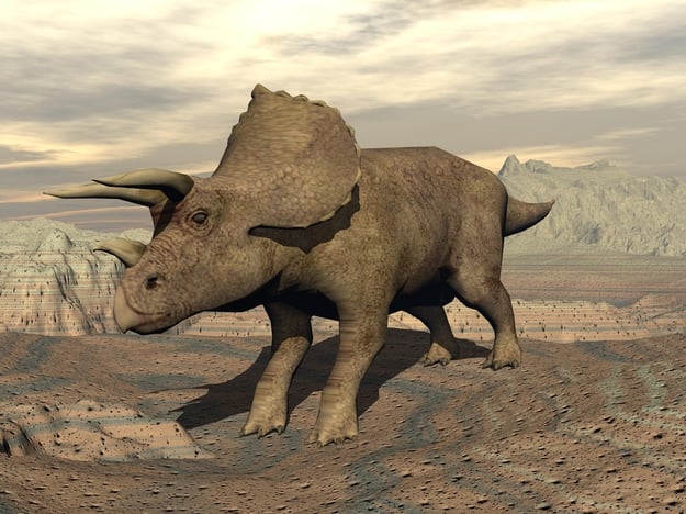 triceratops types of dinosaurs