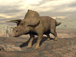 Dinosaur_Triceratops.jpg