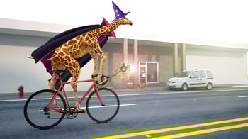 How to Optimize Web Images: Improved Page Speed & SEO Best Practices