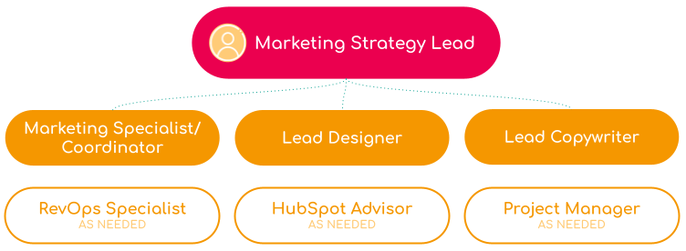 Marketing Strategy Team - Diagnostic