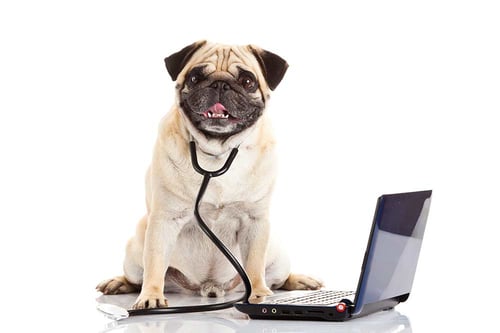 Pug-doc