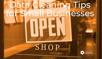 Data Cleaning Steps for Small Businesses