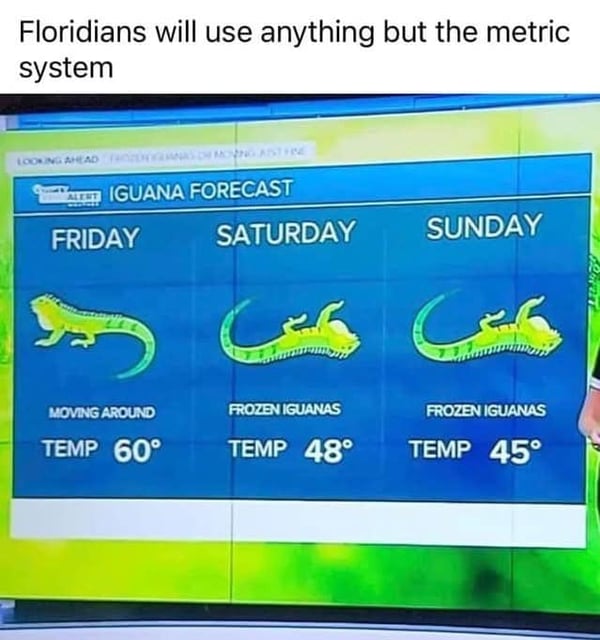 florida-iguana-temps