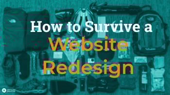 How to Survive a Website Redesign