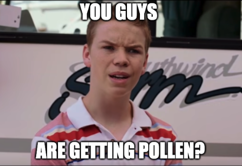 pollen-meme