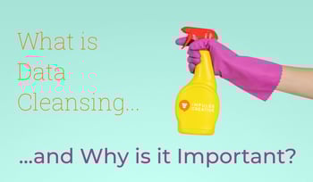 What is Database Cleansing and Why is it Important?