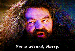 youre-a-wizard-harry
