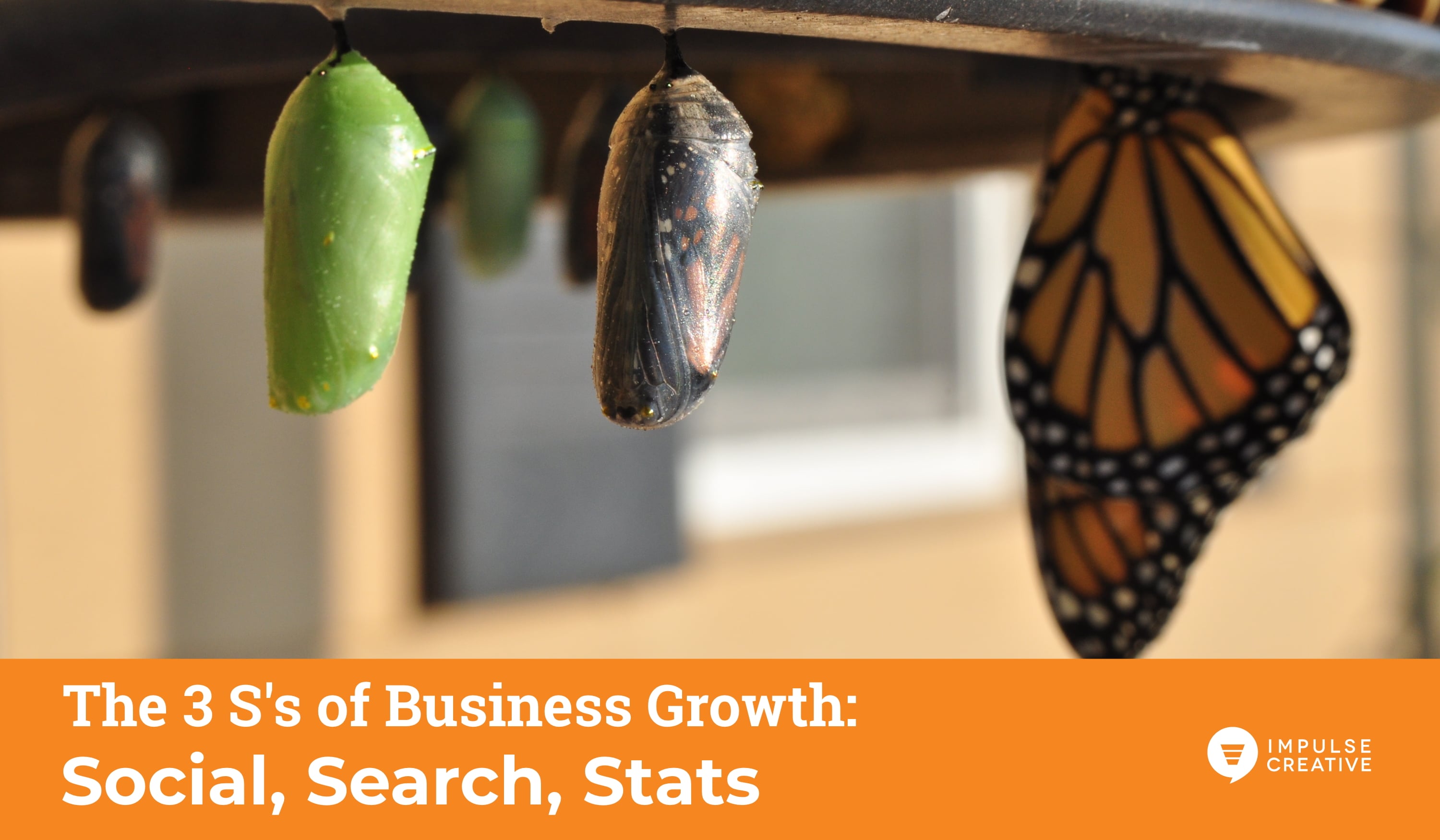 the-3-ss-of-business-growth-in-2020_hero-final